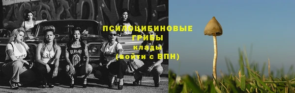 не бодяженный Богданович