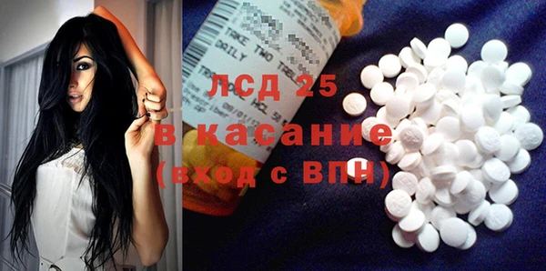 крисы Бронницы