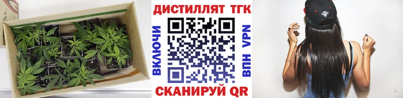 ТГК THC oil  Купить  Фатеж 
